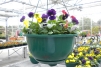 10" Contemporary Hanging Basket - Green w / Wire Hanger