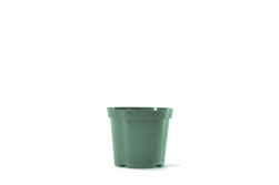 4.5" Round Geranium - Green